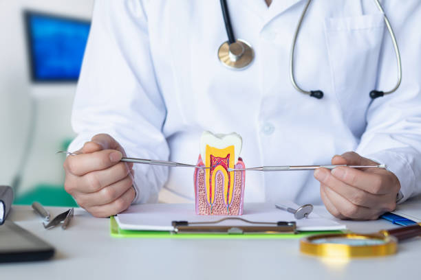 Best After-Hours Emergency Dentist in Watchung, NJ